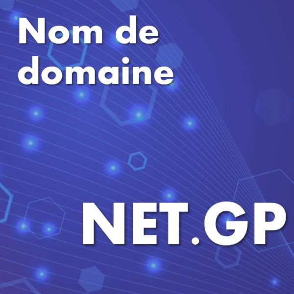 Nom de domaine net.gp