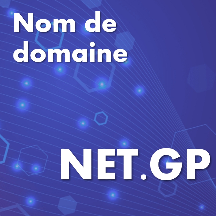 Nom de domaine net.gp